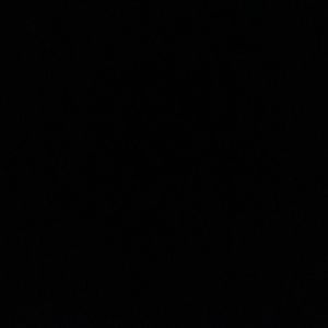 Meet your Posher, Maya